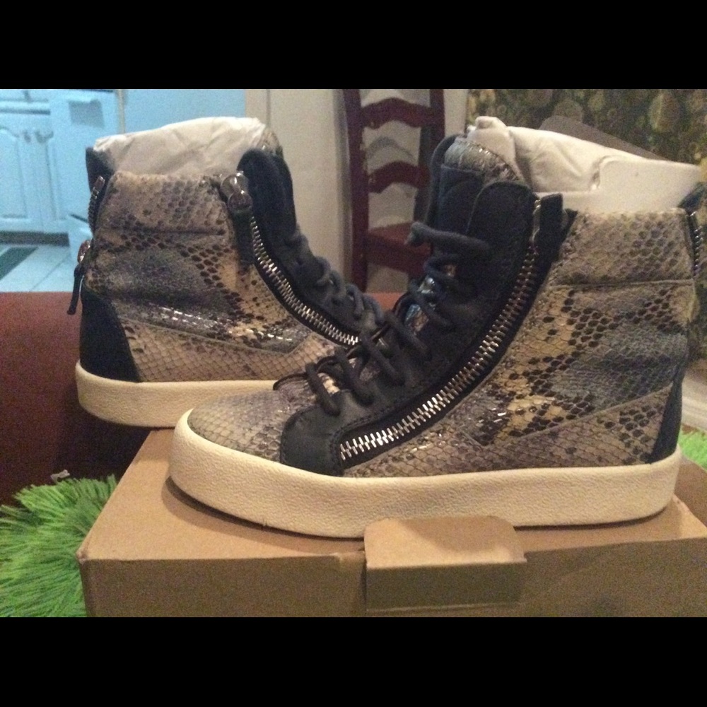 giuseppe zanotti